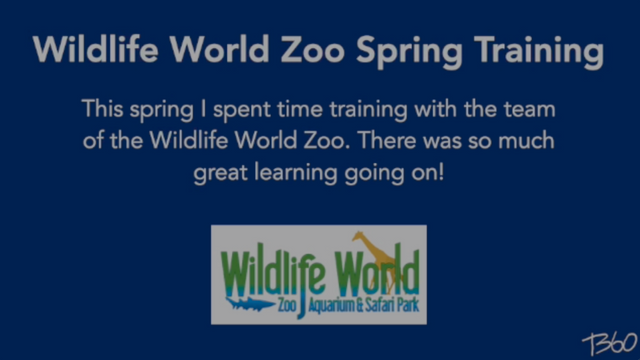 Wildlife World Zoo Spring Training